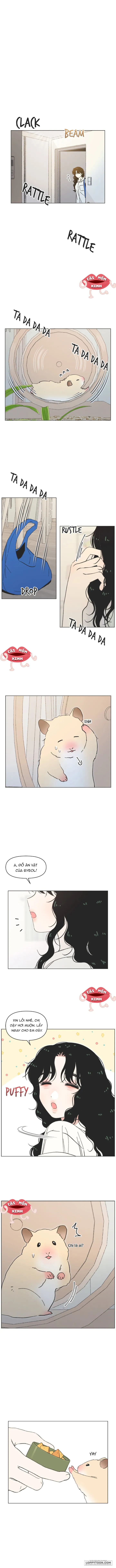 Thanh Xuân Ngọt Ngào - Chap 40 - Trang 1