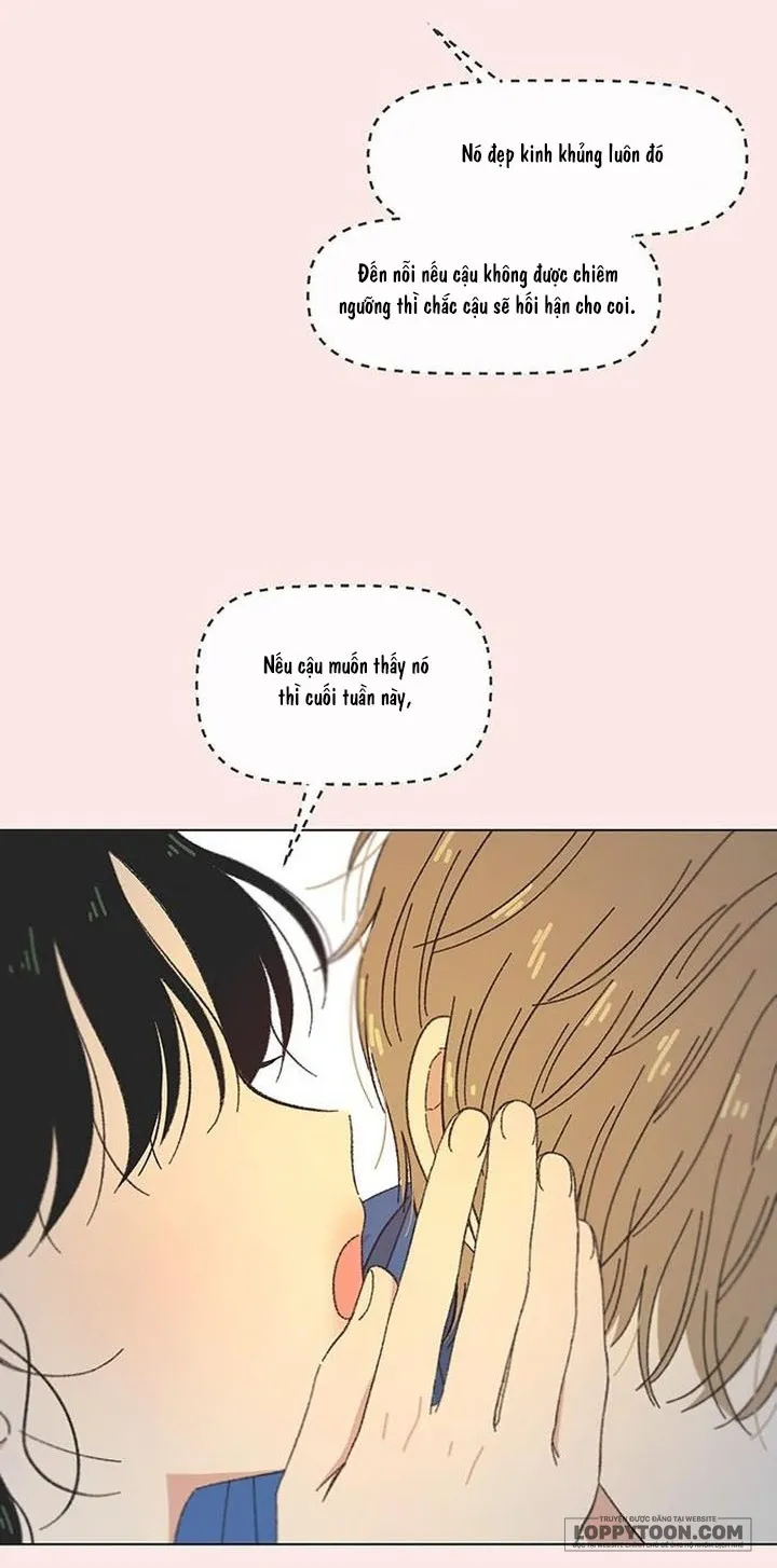 Thanh Xuân Ngọt Ngào - Chap 57 - Trang 43