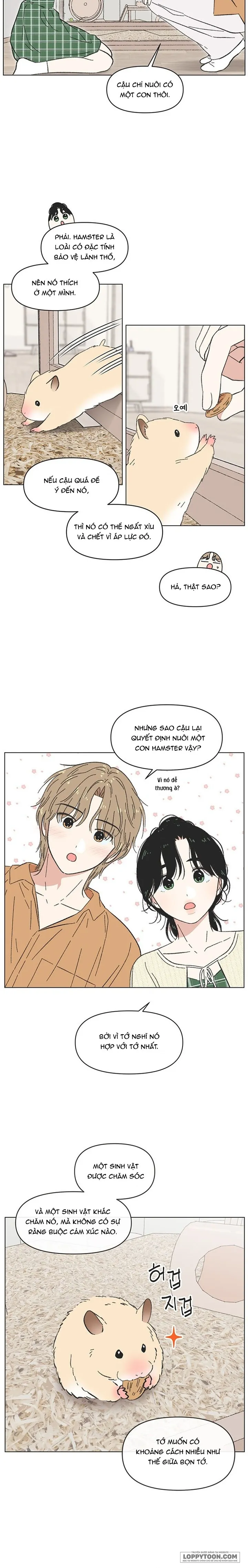 Thanh Xuân Ngọt Ngào - Chap 60 - Trang 2
