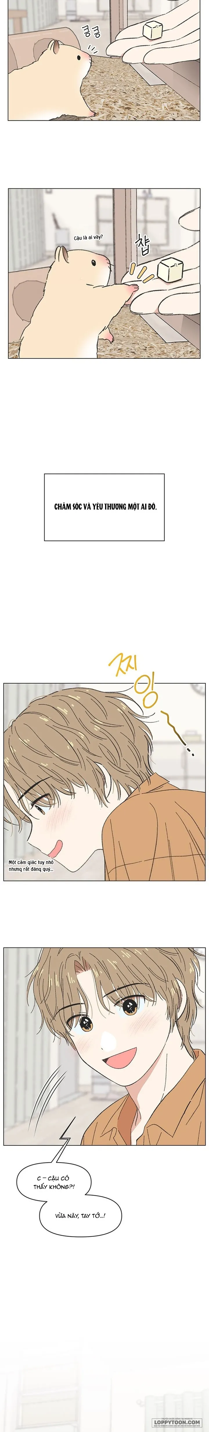 Thanh Xuân Ngọt Ngào - Chap 60 - Trang 4
