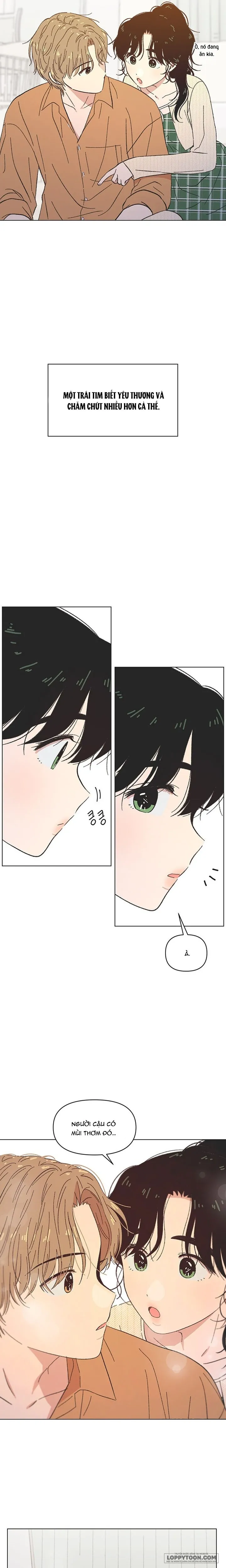 Thanh Xuân Ngọt Ngào - Chap 60 - Trang 5
