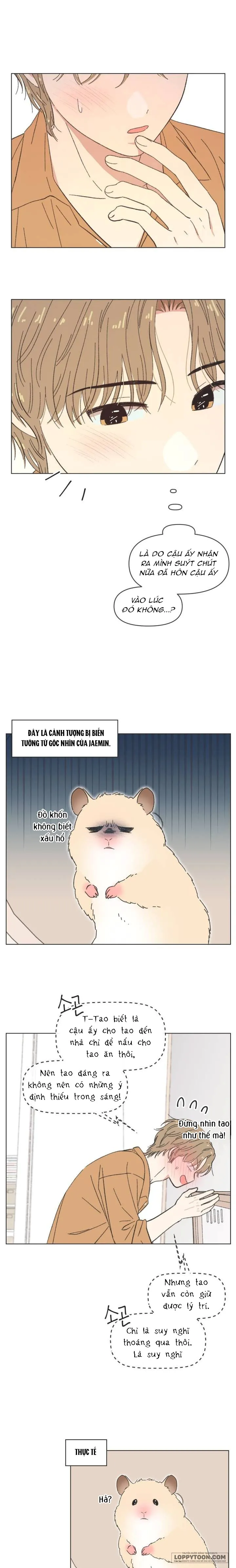 Thanh Xuân Ngọt Ngào - Chap 61 - Trang 3