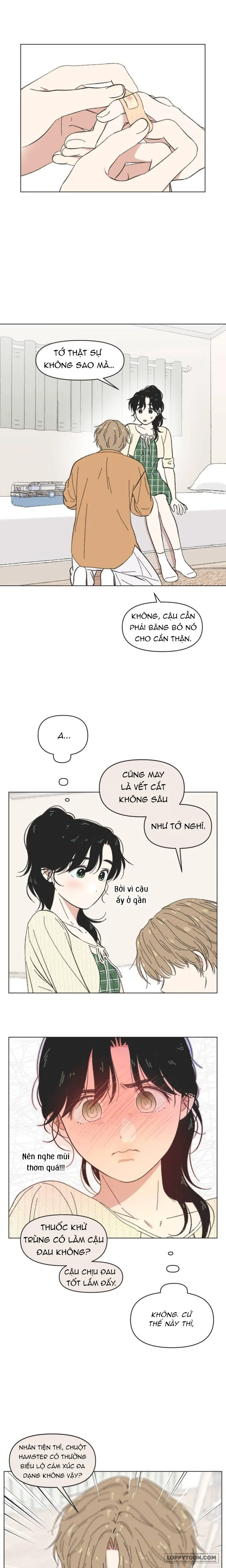 Thanh Xuân Ngọt Ngào - Chap 61 - Trang 7