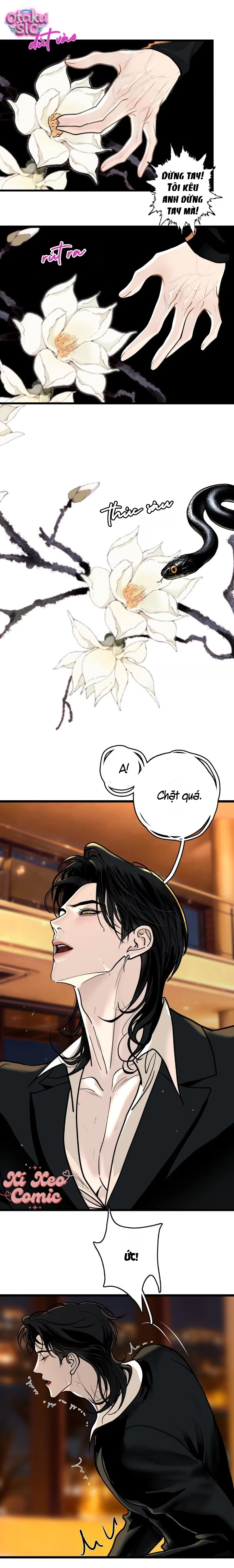 Thiên Niên Chi Luyến - Chap 8 - Trang 2