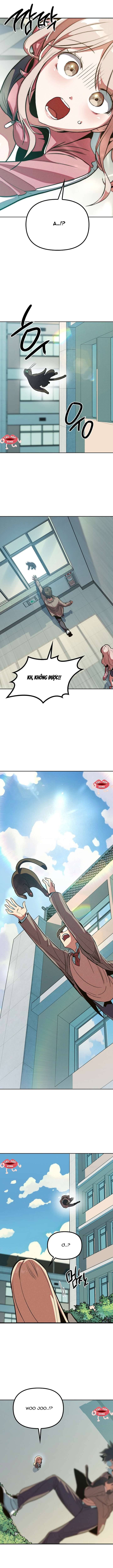Thiếu Nữ 12 Con Giáp - Chap 1 - Trang 14