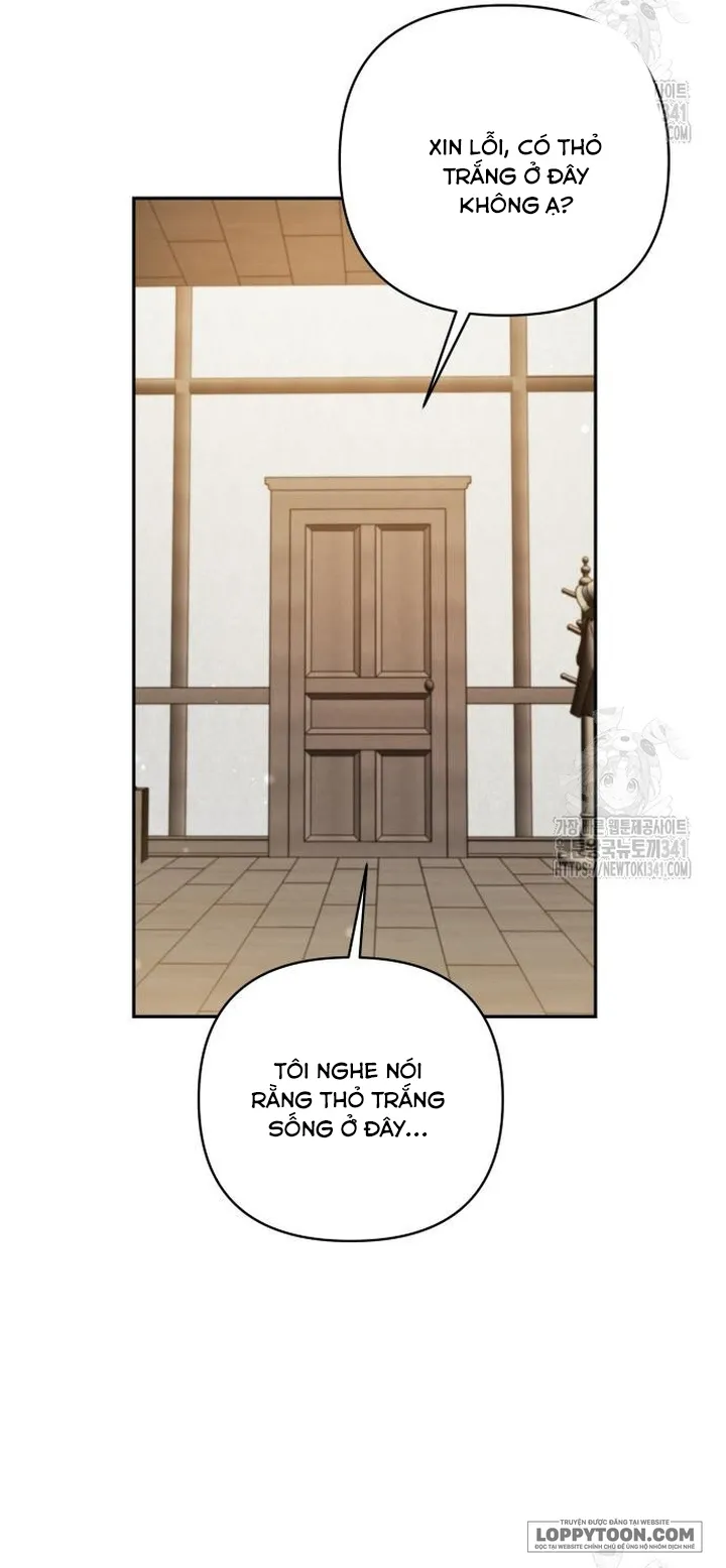 Thỏ Trắng Ở Xứ Sở Thần Tiên - Chap 20 - Trang 8