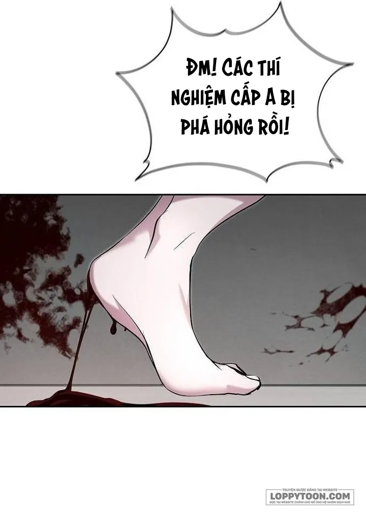 Thỏ Trắng Ở Xứ Sở Thần Tiên - Chap 54 - Trang 18