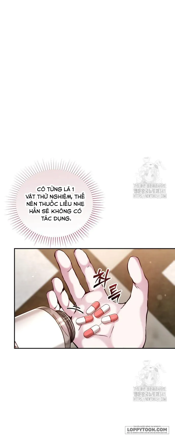Thỏ Trắng Ở Xứ Sở Thần Tiên - Chap 8 - Trang 1