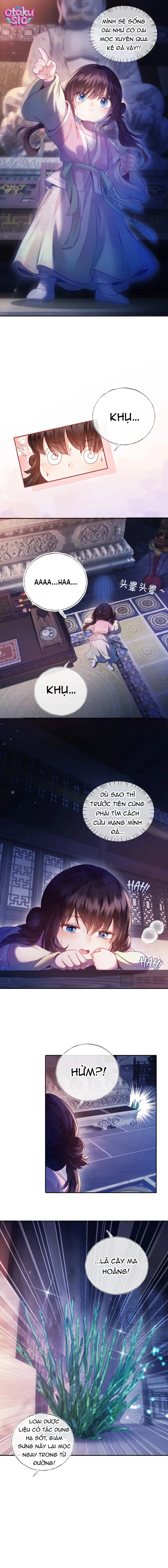 Thứ Nữ Pháo Hôi Chỉ Muốn Dựa Vào Sự Đáng Yêu Để Sinh Tồn - Chap 1 - Trang 9