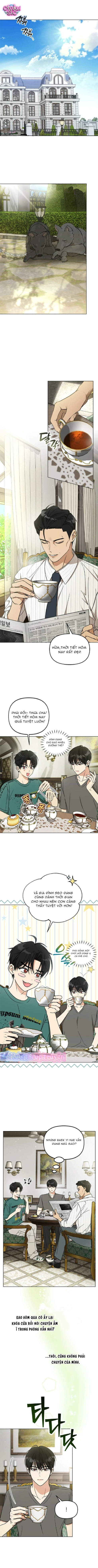 Thuần Hóa Nam Chính Xã Hội Đen - Chap 5 - Trang 1