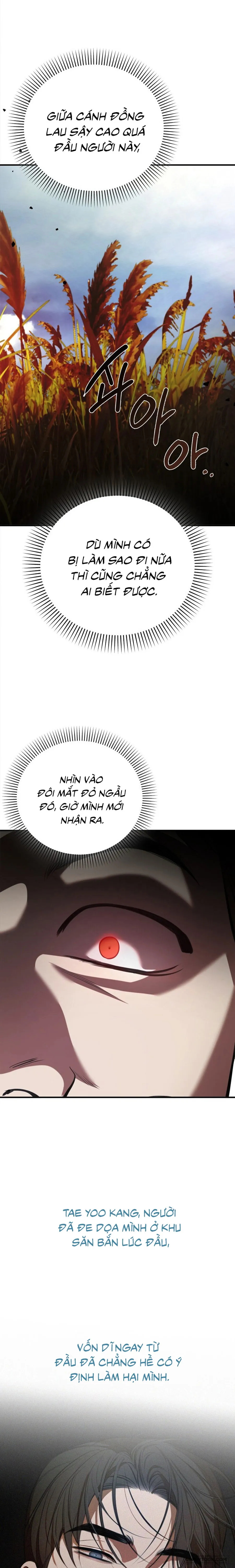 Tiêu Bản - Chap 17 - Trang 5