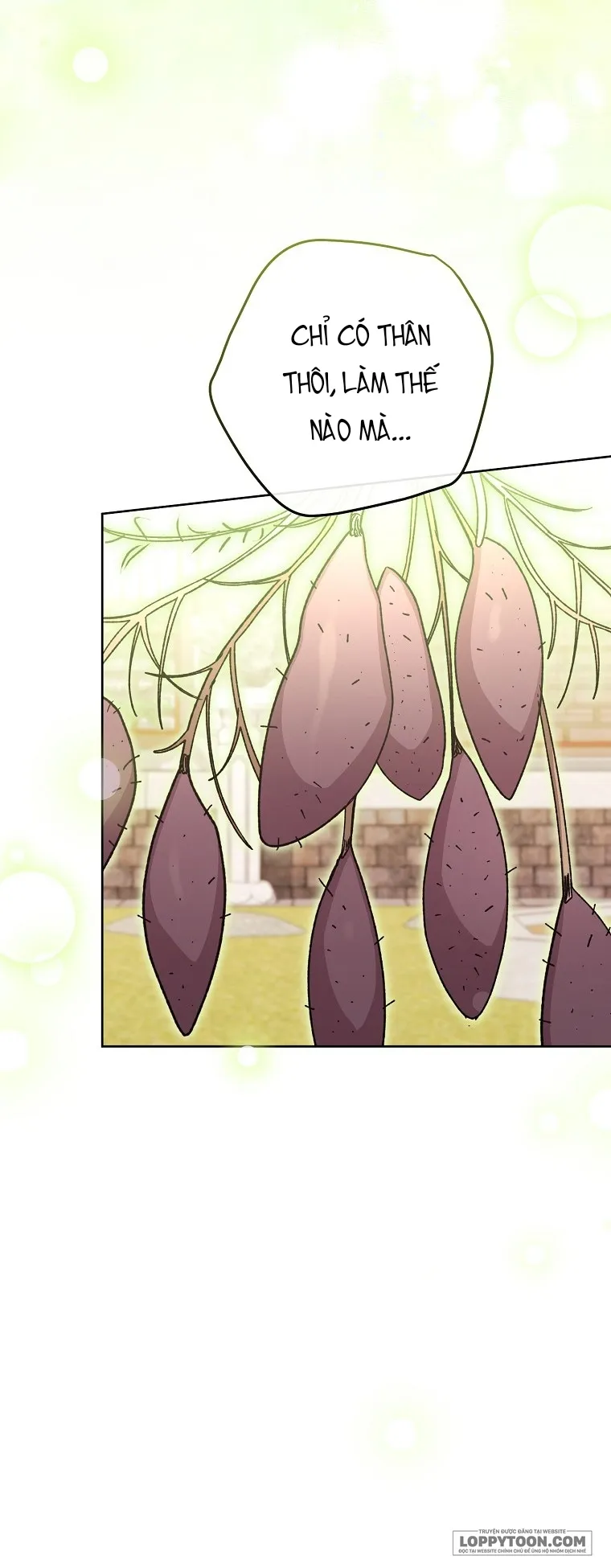 Tiểu Thiếp Chỉ Muốn Sống Yên Bình - Chap 44 - Trang 26
