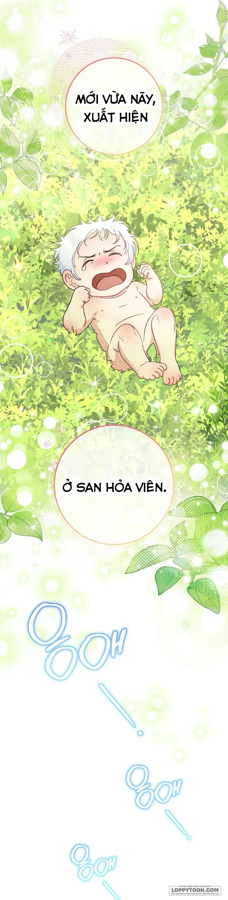 Tiểu Thiếp Chỉ Muốn Sống Yên Bình - Chap 82 - Trang 8