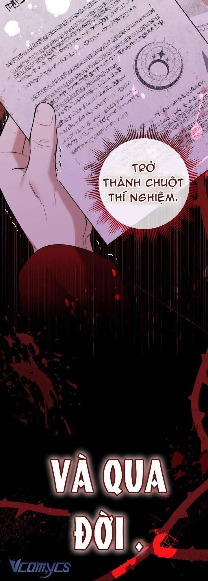 Tiểu Thư Tích Tiền Đi Bụi - Chap 53 - Trang 53