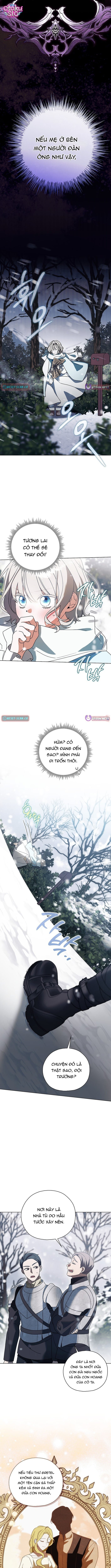 Tìm Kiếm Người Chồng Hợp Đồng Của Ác Nữ - Chap 1 - Trang 14