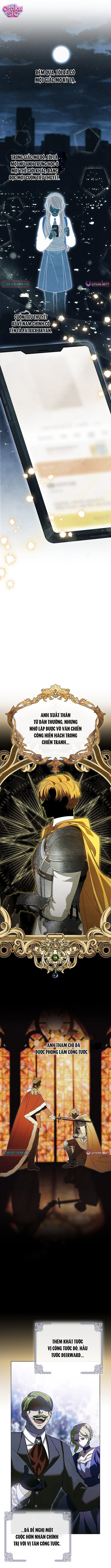 Tìm Kiếm Người Chồng Hợp Đồng Của Ác Nữ - Chap 1 - Trang 6
