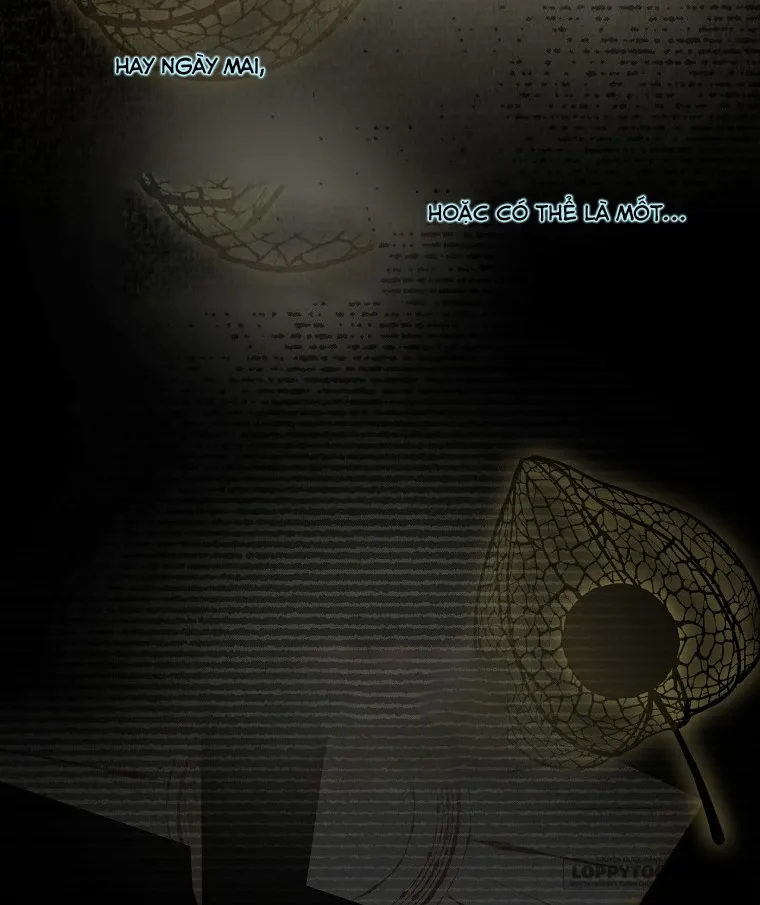 Tìm Một Người Chồng Mới - Chap 4 - Trang 38