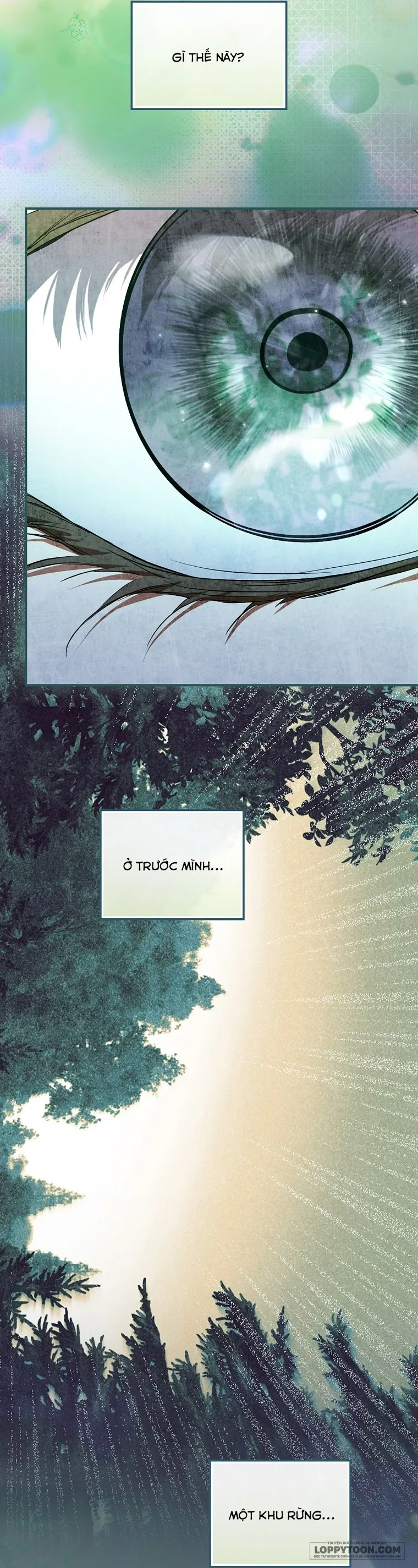 Tìm Một Người Chồng Mới - Chap 8 - Trang 5