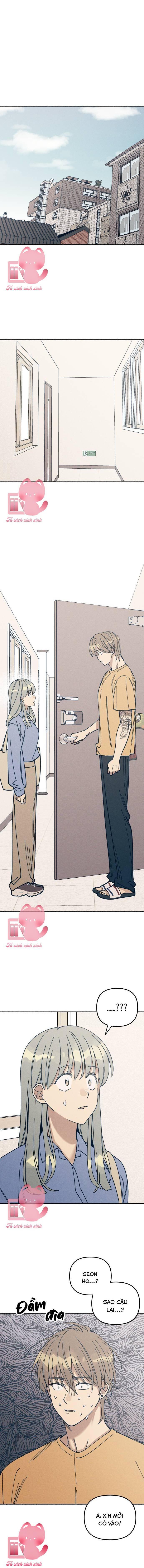 Tình Đầu Đáng Ghét - Chap 13 - Trang 1