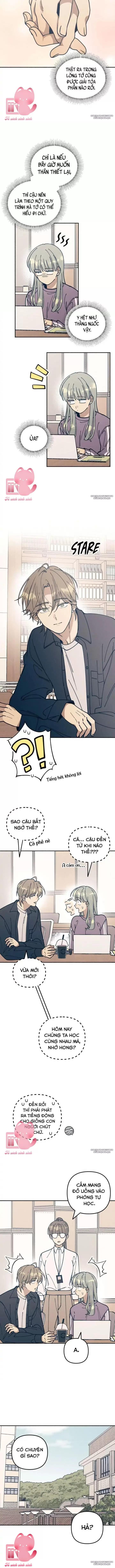 Tình Đầu Đáng Ghét - Chap 20 - Trang 4