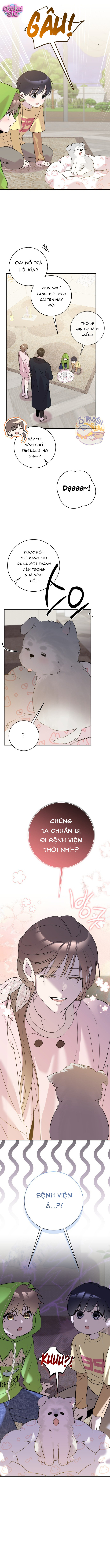 Tình Yêu Bắt Đầu Từ Việc Nuôi Dạy Con Cái - Chap 17 - Trang 16