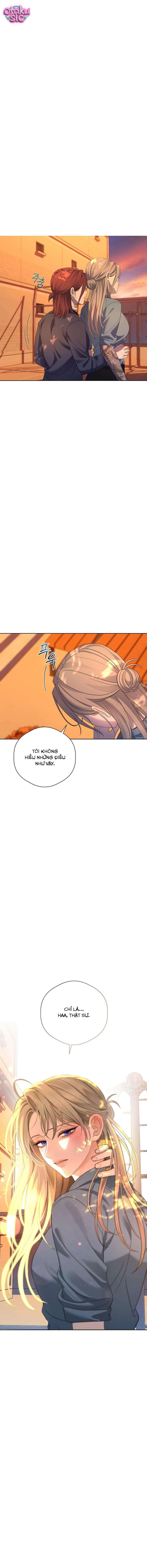 Tình Yêu Biến Dạng - Chap 11 - Trang 17