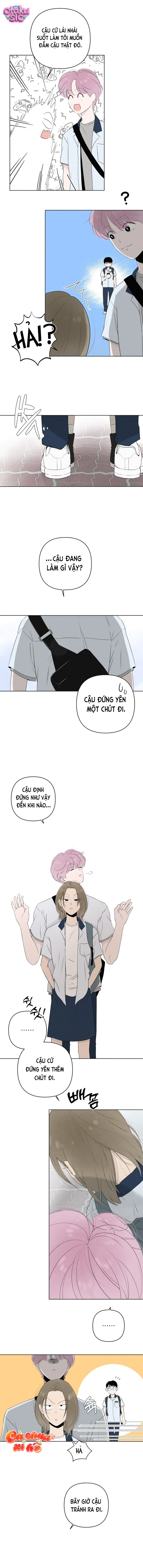 Tình yêu vị cà chua - Chap 10 - Trang 6