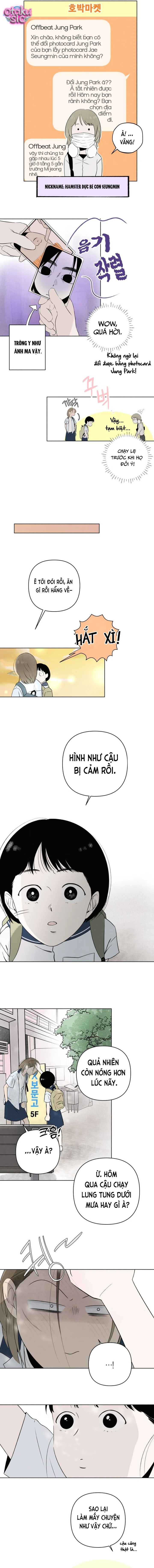 Tình yêu vị cà chua - Chap 10 - Trang 10