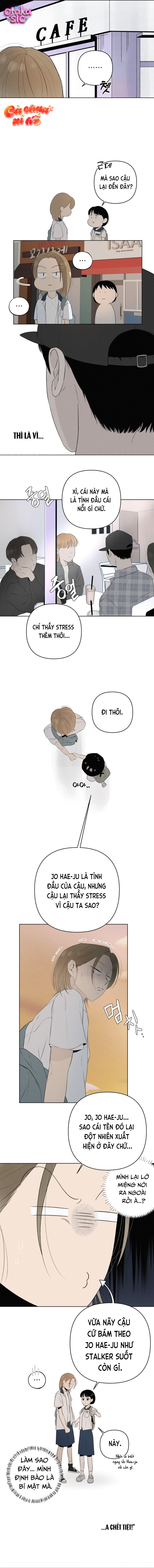 Tình yêu vị cà chua - Chap 11 - Trang 2