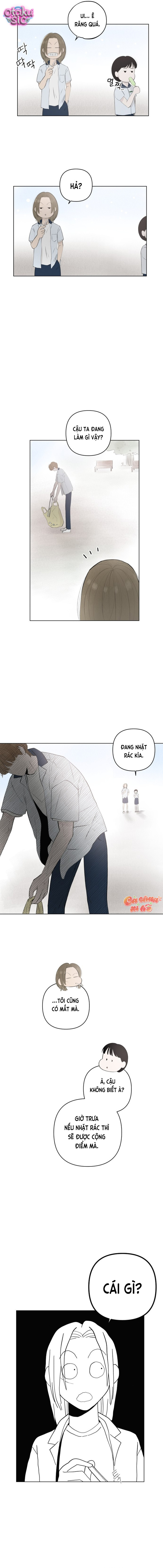 Tình yêu vị cà chua - Chap 16 - Trang 8