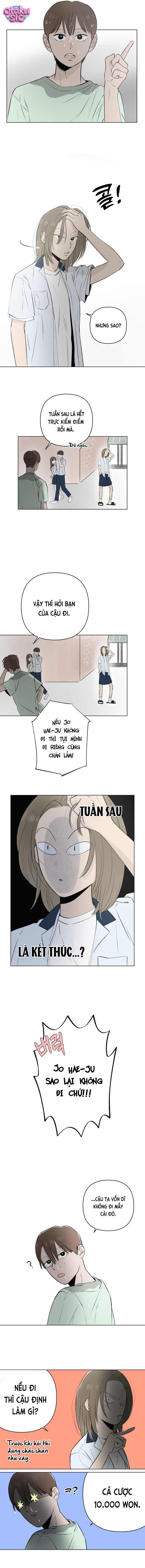 Tình yêu vị cà chua - Chap 16 - Trang 10