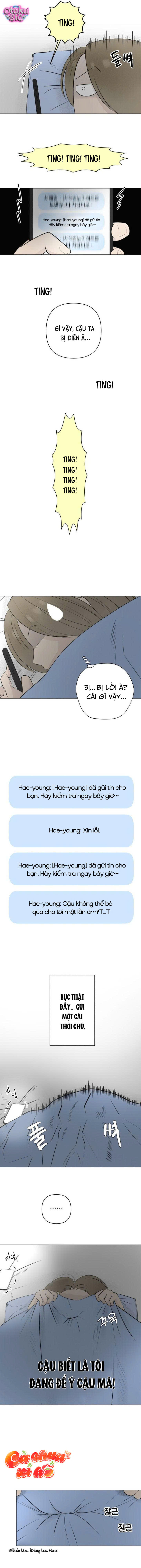 Tình yêu vị cà chua - Chap 18 - Trang 12