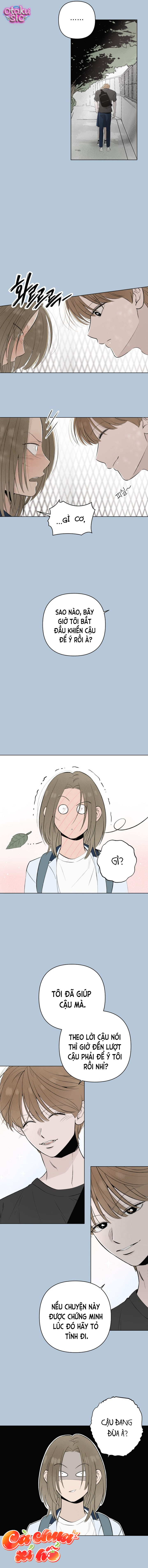 Tình yêu vị cà chua - Chap 18 - Trang 8