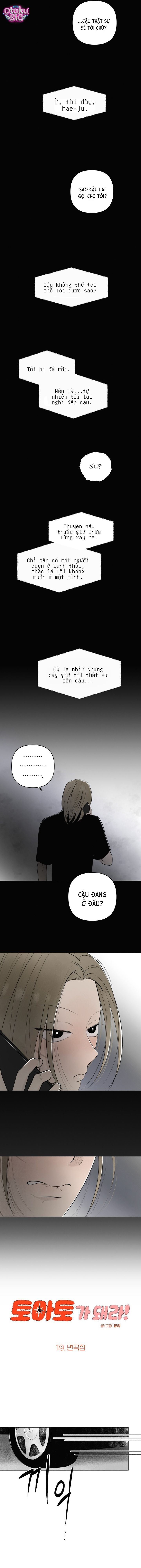 Tình yêu vị cà chua - Chap 19 - Trang 3