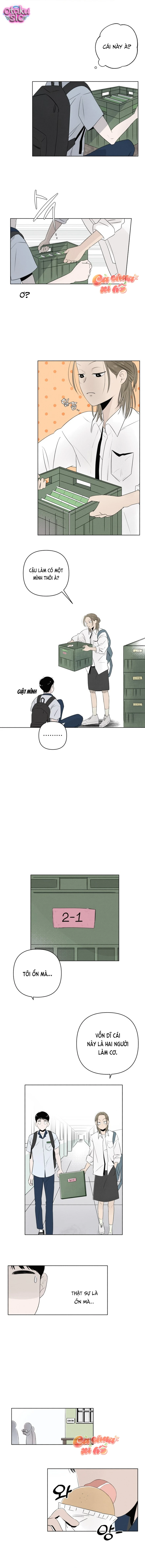 Tình yêu vị cà chua - Chap 2 - Trang 2