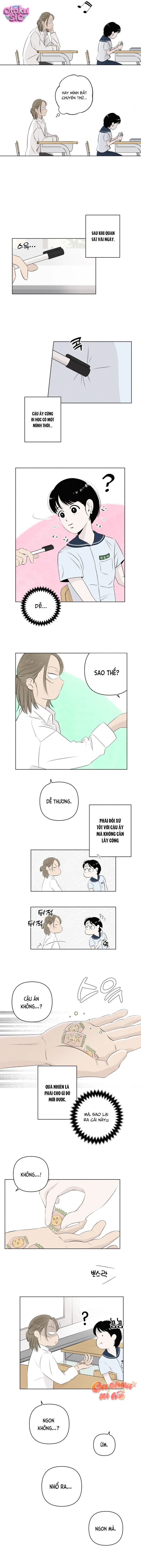 Tình yêu vị cà chua - Chap 2 - Trang 6
