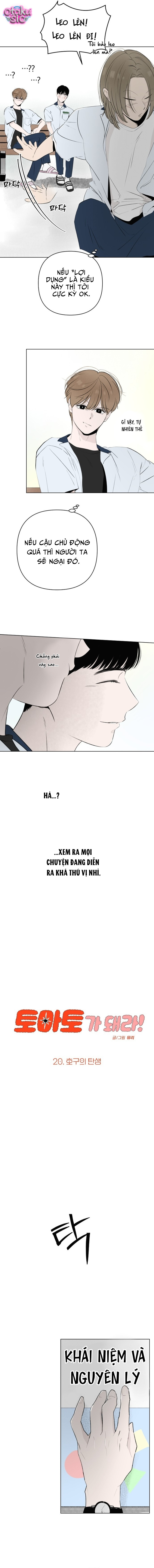Tình yêu vị cà chua - Chap 20 - Trang 8
