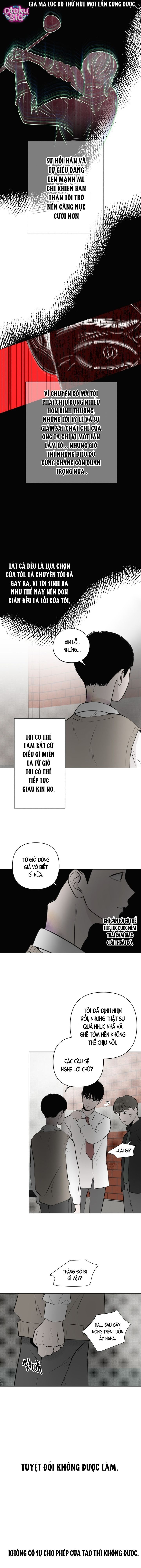 Tình yêu vị cà chua - Chap 22 - Trang 13