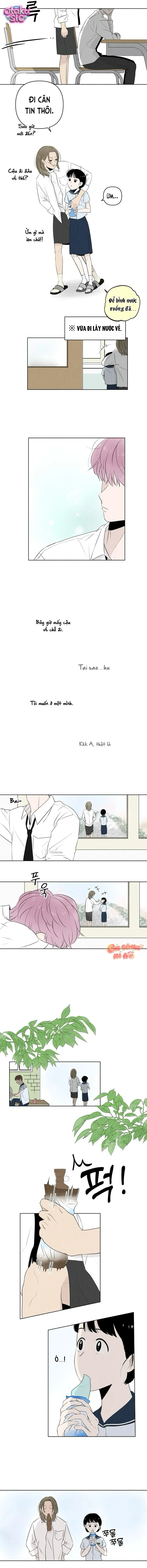 Tình yêu vị cà chua - Chap 4 - Trang 10