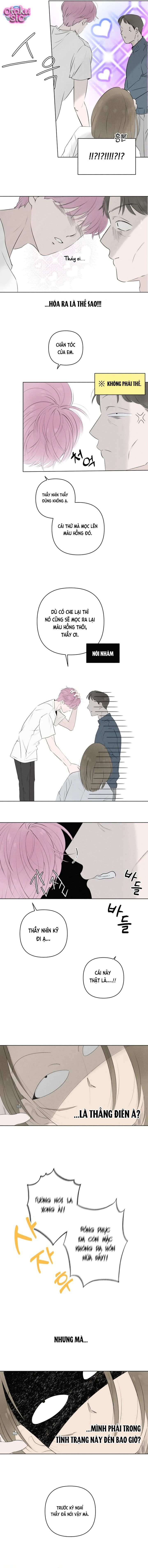 Tình yêu vị cà chua - Chap 5 - Trang 3