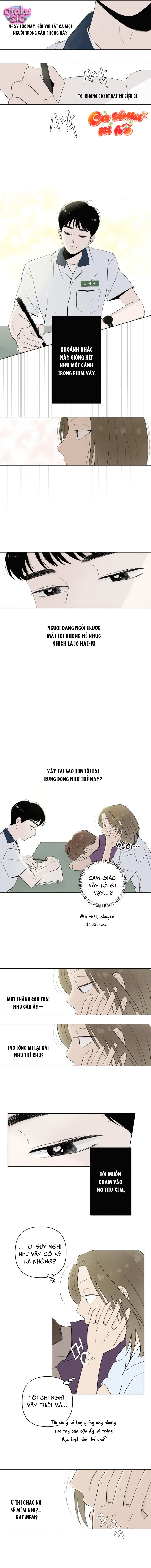 Tình yêu vị cà chua - Chap 7 - Trang 8