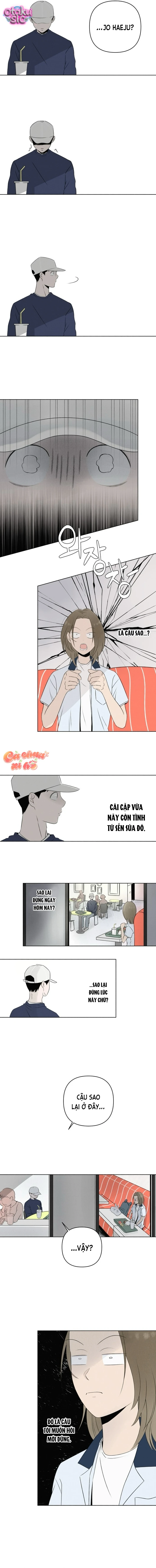 Tình yêu vị cà chua - Chap 8 - Trang 8