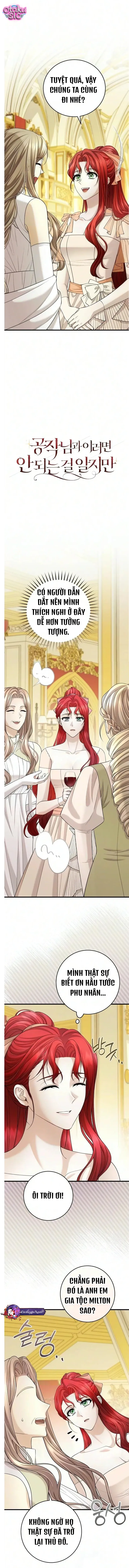 Tôi Biết Mình Không Nên Làm Điều Này Với Công Tước - Chap 26 - Trang 4