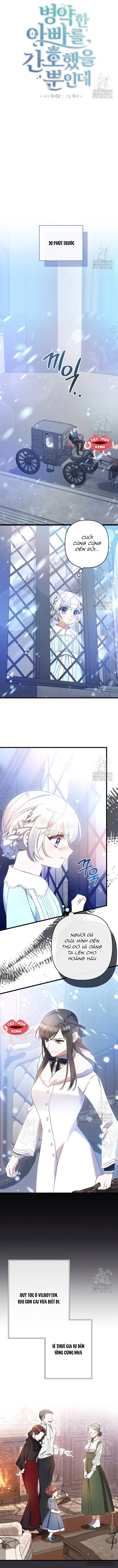 Tôi Chỉ Định Chăm Sóc Người Cha Ốm Yếu Của Mình Thôi Mà - Chap 7 - Trang 2