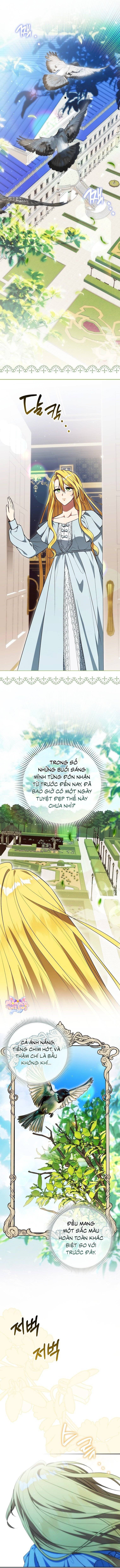 Tôi Cứ Nghĩ Mình Trở Về Là Kết Thúc, Không Ngờ Thể Loại Thay Đổi Rồi! - Chap 23 - Trang 2