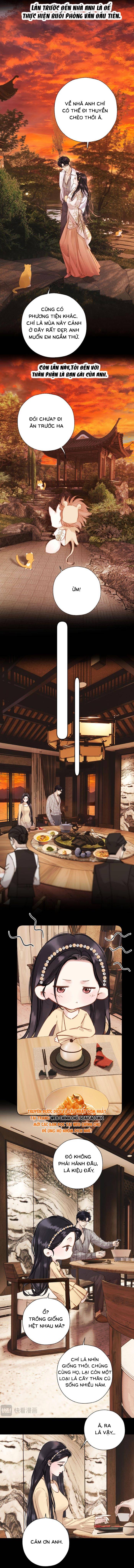 Tôi Cũng Muốn Làm Mợ Út - Chap 87 - Trang 3