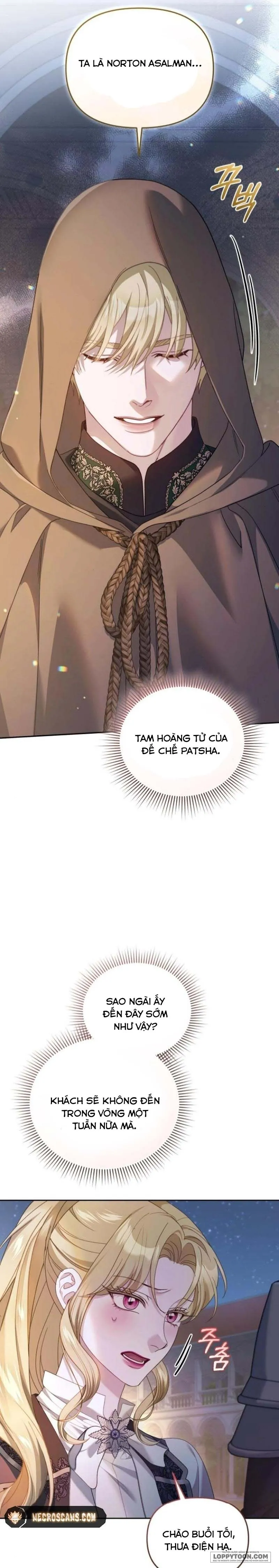 Tôi Đã Trải Qua Đêm Đầu Tiên Dù Chỉ Là Hoàng Hậu Thay Thế - Chap 29 - Trang 11