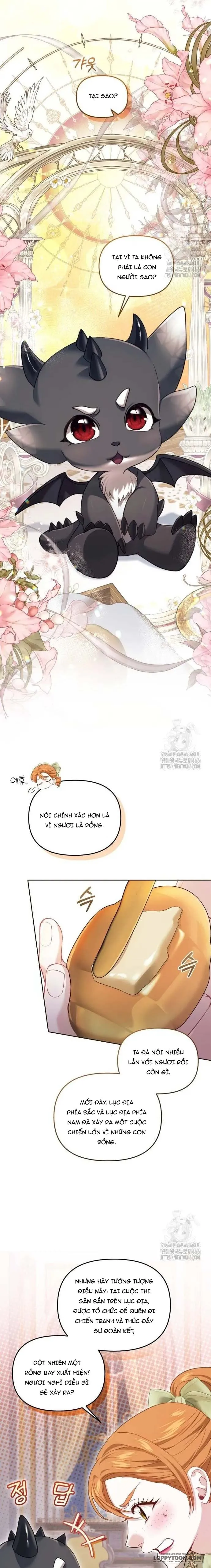 Tôi Đã Trải Qua Đêm Đầu Tiên Dù Chỉ Là Hoàng Hậu Thay Thế - Chap 34 - Trang 9