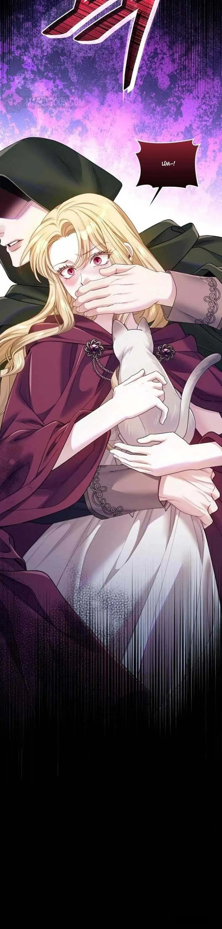 Tôi Đã Trải Qua Đêm Đầu Tiên Dù Chỉ Là Hoàng Hậu Thay Thế - Chap 35 - Trang 21