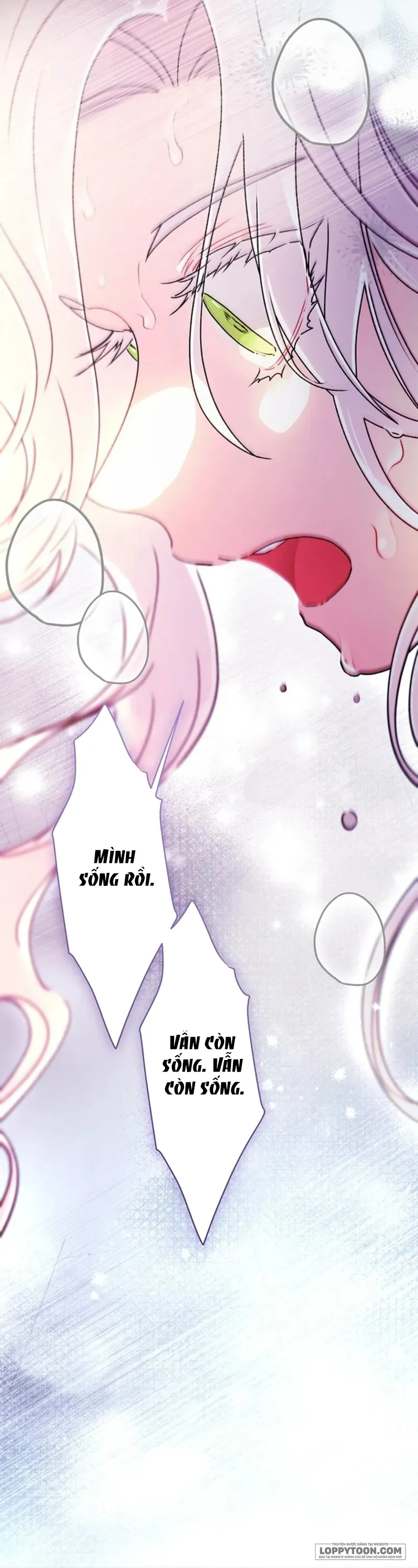 Tôi Đã Trở Thành Con Gái Nuôi Của Nam Chính - Chap 127 - Trang 26